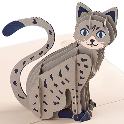 Devine Trading Products Cat Pop Up Card by DEVINE Popup Cards w/envelope (15 x 20cm) | 3D Birthday Card | Pop Up Greeting Cards for Women, Grey