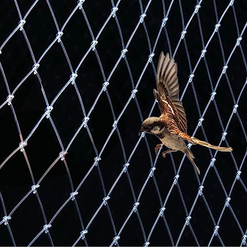 Filet Anti Oiseaux en Maille de Nylon Filet de Protection pour Bassin, Fruits, Légumes et Plantes, Filet Anti Pigeon Transparent pour Balcon, Filet de Protection pour Arbres(Size:5m x 10m)