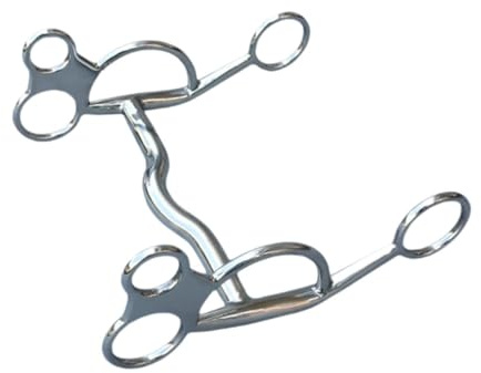 RCGOFOLLOW Bocado de Caballo en Forma de H, Boca de Caballo, tamaño cómodo, Resistente, de Acero Inoxidable, 17 cm, para Deportes ecuestres, Suministros ecuestres, Aparejos
