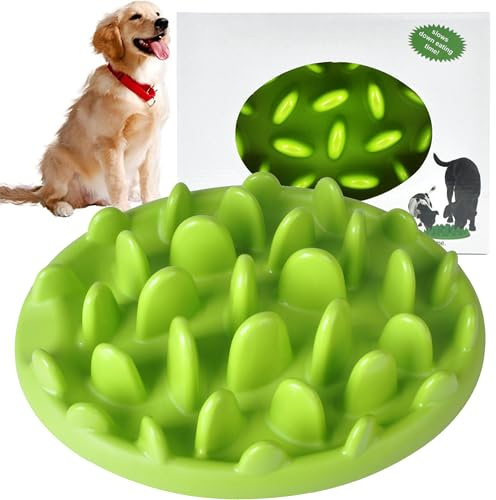 MINGZE Gamelle d'alimentation Lente Anti Ballonnements pour Petits, Moyens et Grands Chiens, Gamelle Interactif pour Chien Chat, Vert