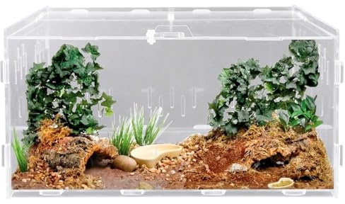 Reptil Fütterungsbox aus Acryl, 30x20x15cm Schnecken Terrarium Feeding Box, Reptilien Terrarium Transportbox Insekten Futterbox für Wasserschildkröten Spinnen Einsiedlerkrebs Hamster Echse