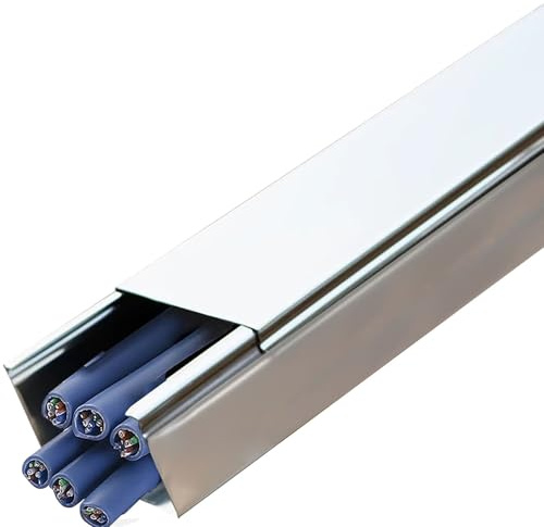 cache cable Goulottes De Câbles Carrées Pour Dissimuler Les Fils, Gaine De Protection Murale Pour Câbles Intérieurs Et Extérieurs, Gaine Ethernet En Acier Inoxydable(Silver,100x50mm-Hold 100 wire)