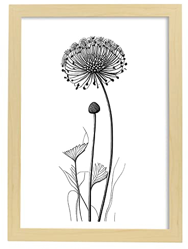 Nacnic Nadelkissen Poster im nordischen Stil. Botanik Illustrationen mit Blumen und Pflanzen in Schwarz und Weiß. Innenarchitektur und Dekoration. A4 Holzrahmen.