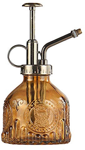 Jarra de cristal retro con pulverizador para plantas y flores, ideal para regar pequeñas plantas en casa u oficina