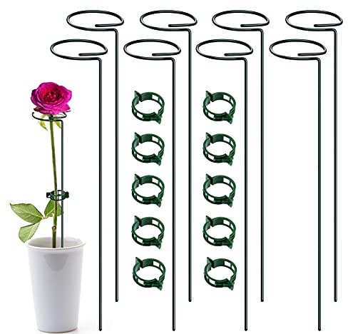 XYCING Green Metal Plants Support Stakes (Pack of 8), Garden Single Stem Plant Support Rod and Ring with 10 PCS Plant Clips, Plant Support and Clips Set - for Amaryllis, Rose, Tomato Seedling, Sapling
