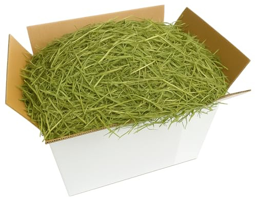 Erba Medica (Alfalfa) 10kg | Fieno Naturale di Erba Medica | Ricco di Fibre, Proteine e Calcio | Ideale per Conigli, Cavie, Piccoli Roditori e Cavalli | Crescita, Gestazione, Appetibilità