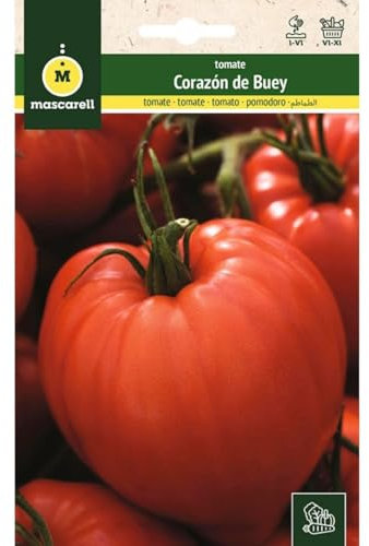 Mascarell Semillas, TOMATE, Semillas Huerto, TOMATE CORAZÓN DE BUEY, Crea tu Propio Huerto Urbano y Cultivo en Casa, Plantas Hortícolas, 1 Gramos
