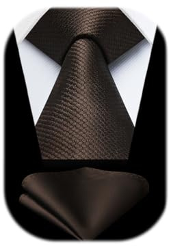 HISDERN Krawatten für Herren Einfarbige Formal Krawatte mit Einstecktuch Set Klassisch Hochzeit Elegant Business Party
