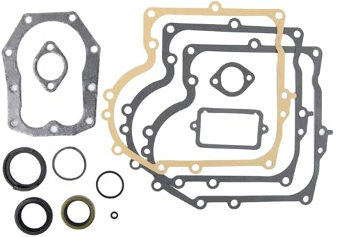 Vilgftyiet Jeu de joints de moteur pour tondeuse à gazon compatible avec les modèles 494241 et 490525