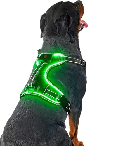 DQGHQME Hundsele No Pull Light för Små, Medium, Stora Hundar - LED, Anti Pull, Front Clip, Escape Proof, Mjuk Vadderad, Handtag