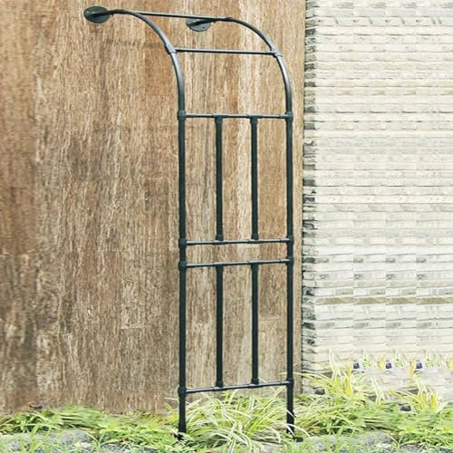 MISKYN Arche De Jardin Demi Rond, Demi-Arche en Métal, Arceau Jardin Arche A Rosiers De Style Fer Forgé, Tonnelle De Jardin Robuste, pour Plantes Grimpante,Blanc,150 * 240cm