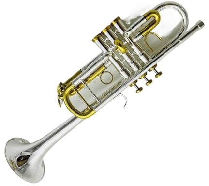 Trompeten C-Tuning-Trompete Aus Messing Versilbert Professioneller Edelstahl Standard-Anfängerton