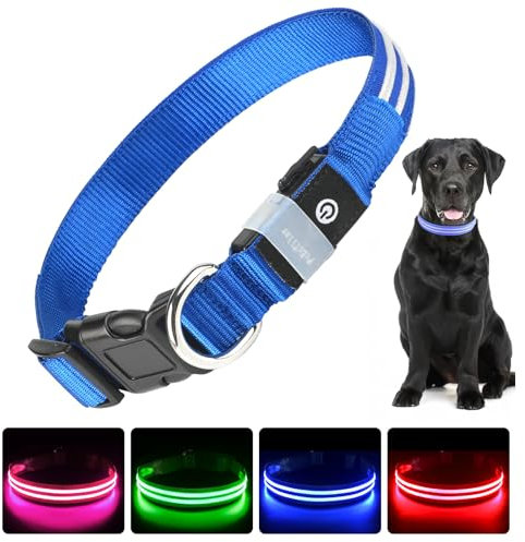 PcEoTllar Leuchthalsband Hund USB Aufladbar - LED Halsband für Hunde Hundehalsband Wasserdicht Leuchtend Einstellbare Größe, 3 Modi, Leuchthalsband für Nachtsicherheit Kleine und mittlere Große Hunde
