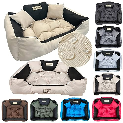 KING DOG Hundebett S 55 × 45 cm Waschbar mit Hohem Rand | Für kleine Hunde geeignet, Hoher Rand für Geborgenheit, 2 weiche Kissen inklusive, Waschbar und pflegeleicht
