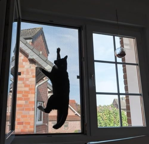 Fliegengitter Fenster katzensicher nach Maß Insektenschutz DIY Fliegengitter Fenster mit Rahmen als Bausatz individuell auf das Wunschmaß zugeschnitten günstig und effizient