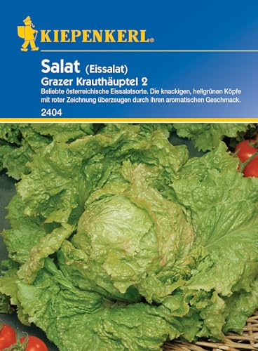 Kiepenkerl 2404 Eissalat Grazer Krauthäuptel 2, beliebte österreichische Eissalatsorte, besonders hitzetolerant