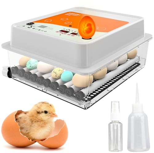 OBI-36 Brutautomat Vollautomatisch für Hühnereier mit Eierwender | Mit stabiler Temperatur und integriertem Eierdurchleuchter für Familien, Orange