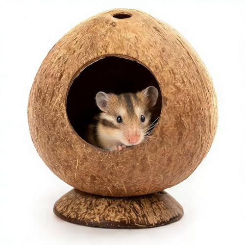 Hamstergömställe, trähus, kokoshus, hamsterhus, säng för racingmöss, rankorrar, reptiler, små djur, bur, livsrumsinredning
