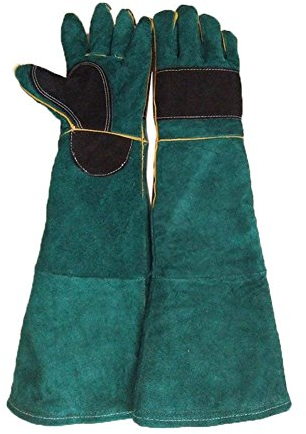 Gants Anti-Morsures / Griffes Pour Animaux, Gants De Cuisine Et Grillades, Doublure En Toile Respirante Pour Chiens, Chats, Ours, Perroquets, Lézards, Animaux Sauvages, Gants De Protection,Green