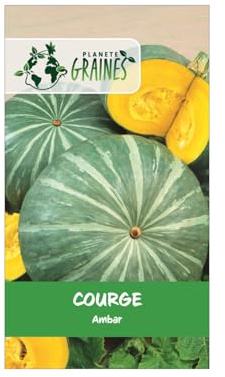 5 Graines de Courge Ambar - Potiron Savoureux et Facile à Cultiver !
