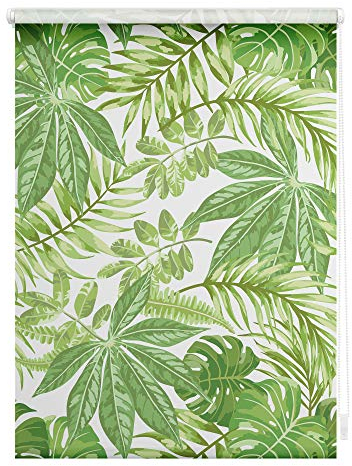 Lichtblick Klemmfix Tageslicht-Rollo mit Motiv, ohne Bohren, Blickdicht, Seitenzugrollo, Made in Germany, Blätter - Grün 60 cm x 150 cm (B x L)