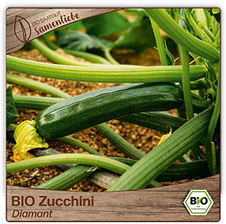 Samenliebe BIO Zucchini Samen Diamant grün 10 Samen samenfestes Gemüse Saatgut für Gewächshaus Freiland und Balkon BIO Gemüsesamen