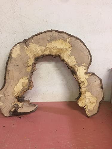 Baumscheibe, Holzscheiben,Baumscheibe, ca. 60x3 cm geschliffen