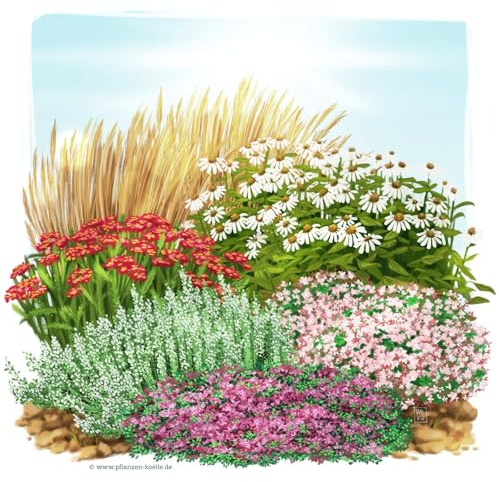 Trockenresistente Stauden Set, 18 Pflanzen für 3 m², bunt