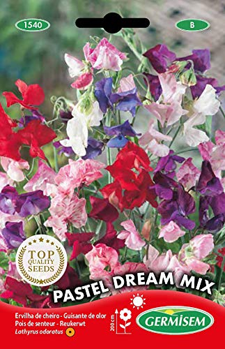 Germisem Pastel Dream Mix Semi di Pisello Dolce 1.5 g