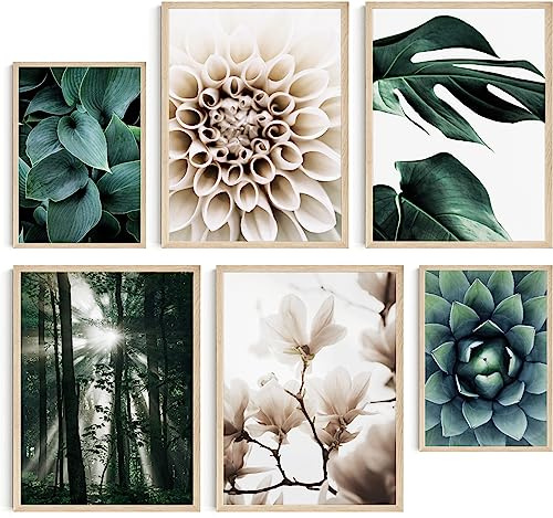 Hambient Poster Set, Wohnzimmer Deko Schlafzimmer, Zimmer - Wanddeko, Wandbilder - Bilder OHNE Bilderrahmen (Botanik Grüne Pflanzen, 4 x 30x40 cm, 2 x 21x30 cm)