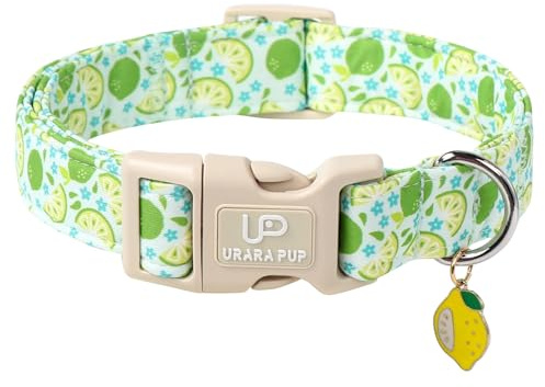 UP URARA PUP Summer Dog Collar-Refreshing Lime Pet Collars-Adjustable, Comfortable & Durable Puppy Collars for Small, Medium, Large Dogs
