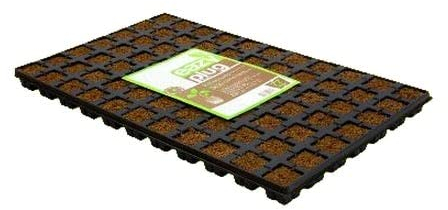 Easy Plug Anzucht Würfel für Stecklinge 77er Tray