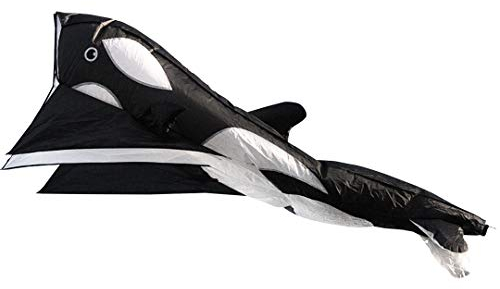 HQ Design - Parafoil Kite Orca Kinderdrachen Drachen Flugdrachen Einleiner Drachen zum steigen Lassen wenig Wind ab 8 Jahren 200x60cm inkl. 25kp Polyesterschnur 40m auf Spule 2.5-6 Bft