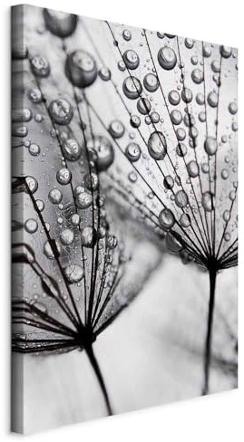 murando - Wandbilder Pusteblume 60x90 cm 1 tlg - Wand Deko Vlies Leinwand Bilder Groß Wanddeko Wohnzimmer Schlafzimmer Kunstdrucke - Natur grau b-B-0353-b-a