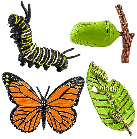 Amaxiu 4 Stück Insektenfiguren, Lebenszyklus von Schmetterlingen Wachstumsmodell realistische Tierfiguren Insekten Schmetterlingszyklusmodell Vorschule Lernen Bildung Wachstumsstadium