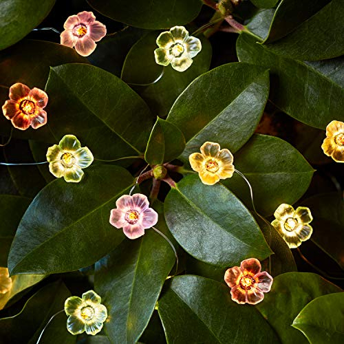 Lights4fun 20er LED Micro Lichterkette Rosen warmweiß Timer Batterie Innen- und Außenbeleuchtung Deko Blumen Lichterkette Innen Lichterkette Außen [Energieklasse A++]