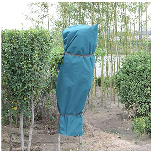 Frostschutzhüllen for Gartenpflanzen, Pflanzen-Kühlbeutel, Pflanzenvlies, Frostschutz for Bäume, Sträucher, Pflanzen (Größe: 2 x 1,5 m) (Farbe: einfarbig, Größe: 2 x 2 m) ( Color : One Colour , Size :