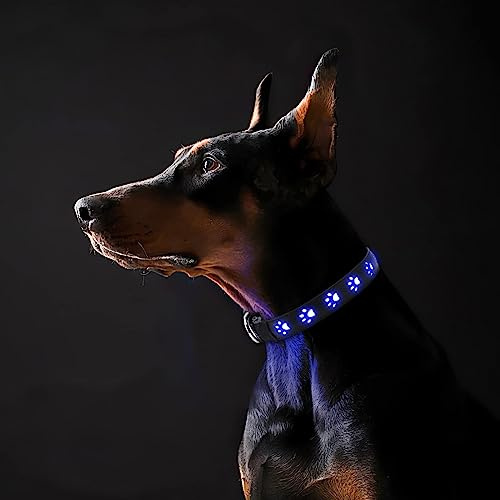ORIA Ljushalsband hund, LED-ljushalsband för hund USB uppladdningsbara, justerbara hundhalsband, 3 ljuslägen, lyser i mörkret, för hundar katter – blå/M (15,7–19,7 tum)