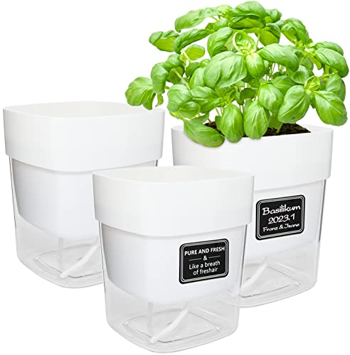 iDattel Set di 3 vasi per erbe aromatiche, da cucina, con davanzale autoirrigante, 12 x 14 x 10 cm, vaso per piante con auto-irrigazione e serbatoio dell'acqua per erbe fresche da cucina
