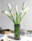JINWOE 6PCS White Calla Lily Artificial Flowers, 25 Lifelike Large Real Touch Fake Lily Silk Flowers with Long Stems, Faux Lilies Bouquets for Tall Vase Wedding Dining Table Centerpieces Kitchen Home