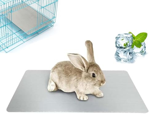 Cerioll Tapis de Refroidissement pour Lapin, Tapis de Refroidissement pour Animaux de Compagnie, pour Lapin Chiot Chaton Cochon d'Guinée Chat (30x20cm)
