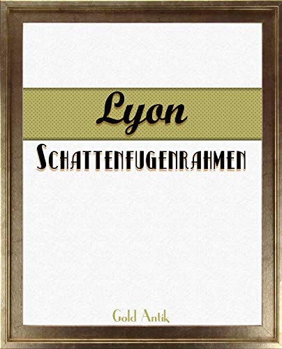 Homedeco-24 Lyon Schattenfugenrahmen 40x60 cm in Gold Antik ohne Verglasung ideal für Canvas Leinwand Bilder Farbwahl