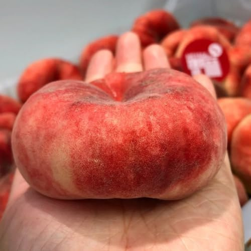 pesco pesco - da appartamento per luoghi soleggiati Coltivazione di verdi, da appartamento giardino resistenti rari colonnari rialzata 30semi