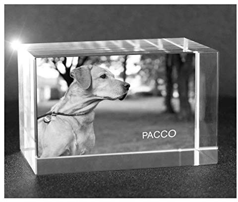 VIP-LASER 2D Gravur Glas Kristall Quader im Querformat XL mit dem Foto von Deinem Hund. Dein Wunschfoto für die Ewigkeit Mitten in Glas! Groesse XL = 80x50x50mm