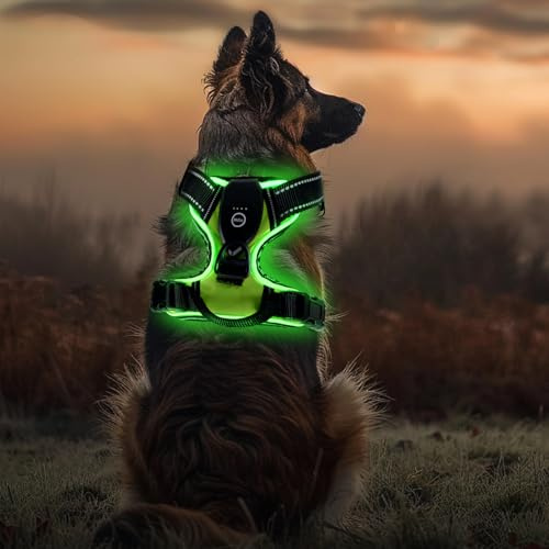 LED Hundegeschirr Leuchtend, USB Aufladbar, Brustgeschirr Hund Reflektierendes & Atmungsaktiv, Beleuchtetes Geschirr für Nachtspaziergänge, für Klein Mittelgroße Grosse Hund (Schwarz Grün,M)