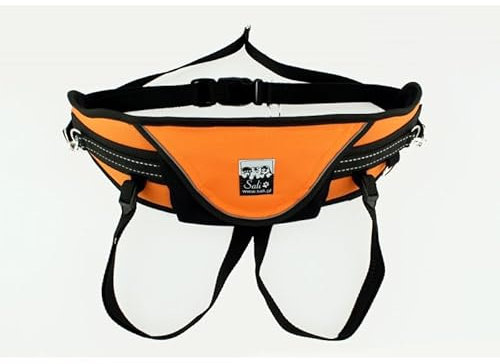 Sali Relax Belt Orange Hüftgürtel Canicross Skijöring Dogtrekking