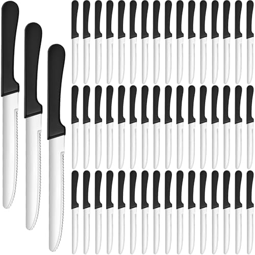DKALIO 50 PCS 8.9 Inch Serrated Steak Knife Set, Bulk Rounded Tip Stainless Steel Steak Knives, Sharp Blade Flatware for Restaurant Kitchen Banquets Camping