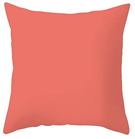 Lieson Coussin 40x40, Coussin Decoration Canapé Corail Clair Coussin Canape Conception Simple de Couleur Unie, Polyester