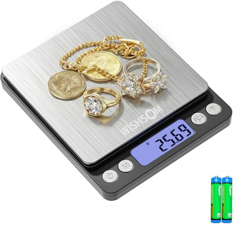 WISHSOM Professional Jewelry Scale, 500g x 0.01g High Precision Digital Gold Scale, Portable Precious Metal Gram Scale for Jewelers, Pawn Shops, Coin Dealers, Gold & Silver Weighing