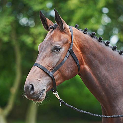 BUSSE Halfter WEIDE, schwarz, Warmblut